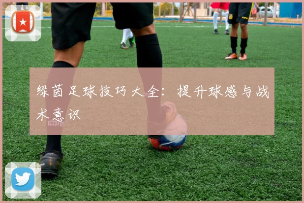 绿茵足球技巧大全：提升球感与战术意识