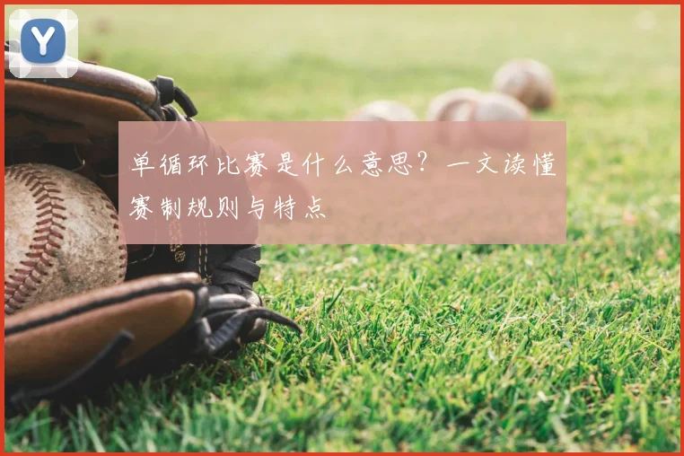 单循环比赛是什么意思？一文读懂赛制规则与特点